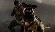 Activision не нравится, что компания, оказывающая услуги по уборке за домашними животными, называется Call of Doodee
