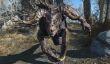 Подробности об обновлённом режиме Survival для Fallout 4