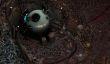 Gamescom-трейлер Torment: Tides of Numenera