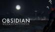 В не анонсированной ролевой игре от Obsidian не будет контейнеров и микротранзакций