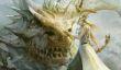 Square Enix представила ролевую игру Project Prelude Rune от продюсера серии Tales of