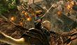 По прогнозам Variety, фильм Warcraft соберёт в США за первый уикенд всего 25 миллионов долларов