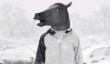 Новые «высоты» фантазии разработчиков: лошадь на сноуборде в игре Snow Horse