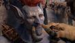 Знаменитый тролль Zappyboi из World of Warcraft теперь знает, что стал мемом