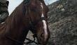 Плотва и Геральт на новом кадре телесериала The Witcher от Netflix
