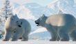 Снег и звери – трейлер дополнения Arctic Pack для Planet Zoo