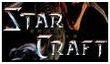 Starcraft Online на подходе?