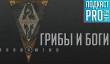 [5.22] Подкаст PRO игры: грибы и боги