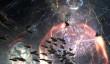 Нешуточные страсти в Eve Online