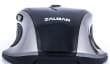 Игровая мышь Zalman ZM-GM1 — еще один известный бренд выходит на рынок геймерской периферии