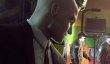 Hitman: Absolution (PC, Xbox 360, PS3) - ультиматум 47-го