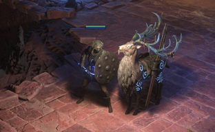 Path of Exile 2 Will Be Free, But Not For Long — Developers Showed Druid and Announced New Promotion