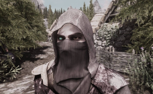 Not Only Thief: Dozens of Games Influenced the Stealth Mechanics in The Elder Scrolls and Fallout - Commissioned by Todd Howard, a Study Was Conducted