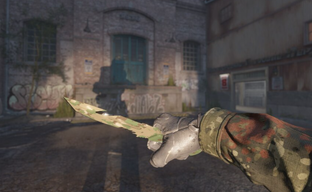 Russian Became a Counter-Strike 2 Tutor and Revealed Monthly Earnings