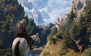Analysts predict an imminent DLC release for The Witcher 3 as CD Projekt shares rise
