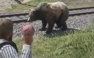 A modder turned Red Dead Redemption 2 into Pokemon - adding the capture of animals in pokeballs and creature battles