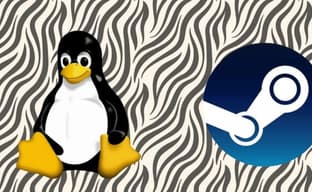 Windows Is Losing Gamers: Linux Is Gaining Popularity on Steam