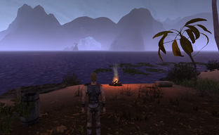 The developers of "Gothic 2: New Balance" presented an island and a musical theme