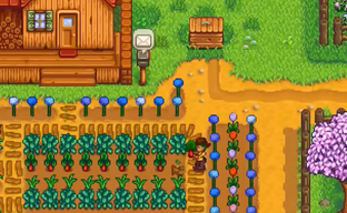 Создатель Stardew Valley спустя 13 лет раскрыл вырезанную карту фермы и показал тизер 1.7 — персонажей для романтических отношений