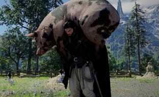 A major update broke Crimson Desert - bears and wolves have disappeared