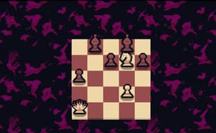 A strange chess roguelike "Gambonanza" burst into Steam - sales exceeded 100 thousand copies