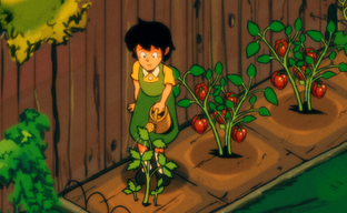 Представили трейлер Vivarium — симулятора жизни с графикой в стиле классического аниме