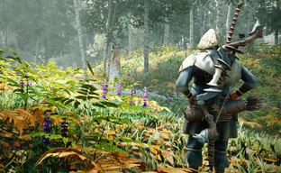 The Elder Scrolls VI «выглядит невероятно» — Тодд Говард показал игру менеджеру Xbox