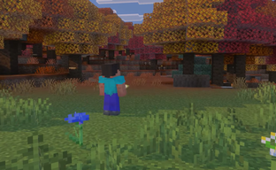 "Steve's life will change forever" - he can sit down. Minecraft developers showed mechanics and a new biome "Dappled Forest"