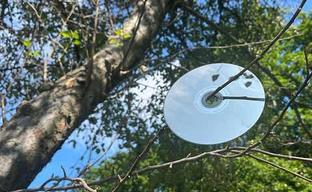 Sony will permanently destroy discs for PS5 and PS6. Other companies will also be unable to produce them