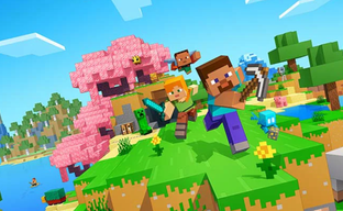 Blogger Uploaded a Fly's "Brain" into Minecraft - He Placed It in a Spider's and Bee's Body
