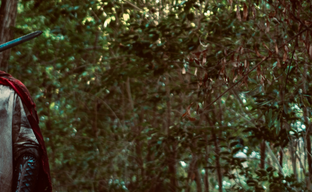 Vin Diesel Showed New Photos as Kaulder from "The Last Witch Hunter"