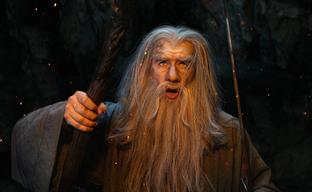 Cosplayer Shows Gandalf the Grey's Battle with the Balrog from "The Lord of the Rings" - "You Shall Not Pass!"