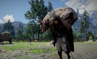 Crimson Desert to Receive Huge Paid DLC. Romances, Weddings, and Own Ships