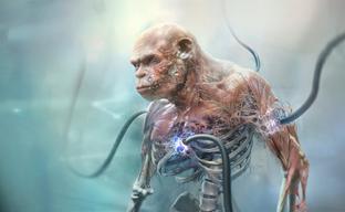18 years after its announcement, Beyond Good & Evil 2 is still in pre-production
