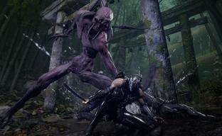 Ninja Gaiden 4 получит масштабное дополнение с новой историей и уникальным оружием