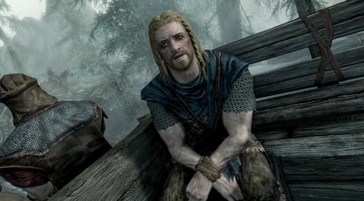 Канадец отсидел 18 месяцев, потому что полиция перепутала ники с отсылкой к Skyrim