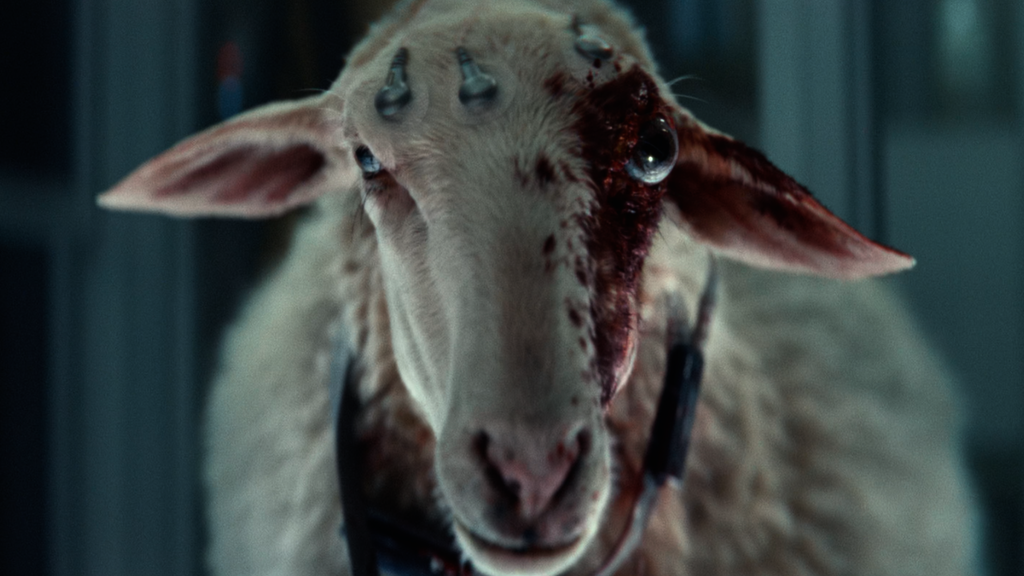Fotograma de la serie «Alien: Tierra»