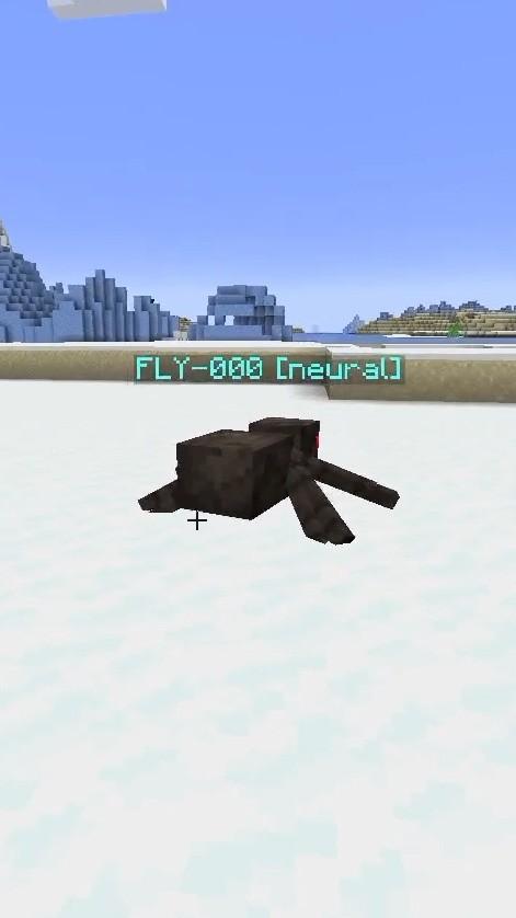 I put a real life fly into minecraft