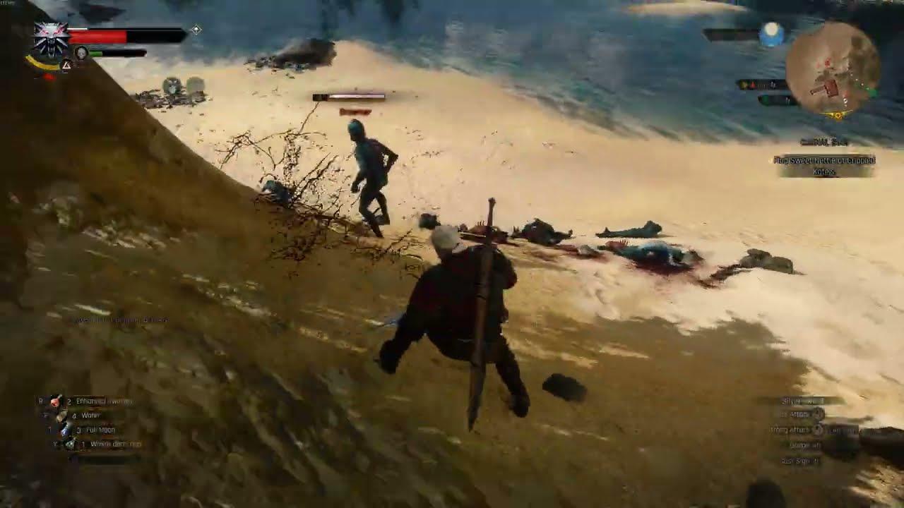 Witcher 3 Dynamic Ragdolls Mod (Drowners) test