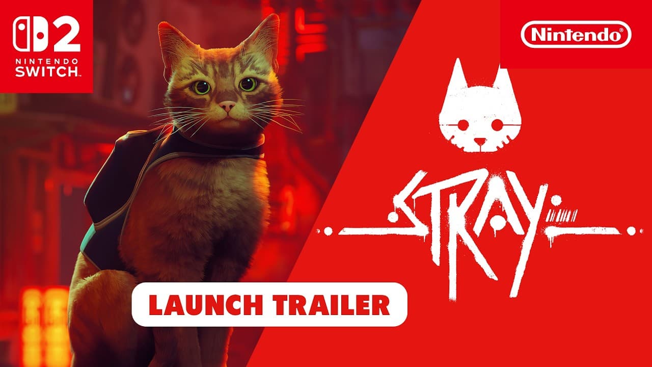 Stray | Switch 2 Launch Trailer