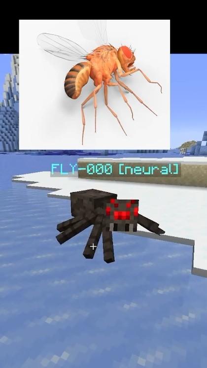 I uploaded a consciousness into minecraft..