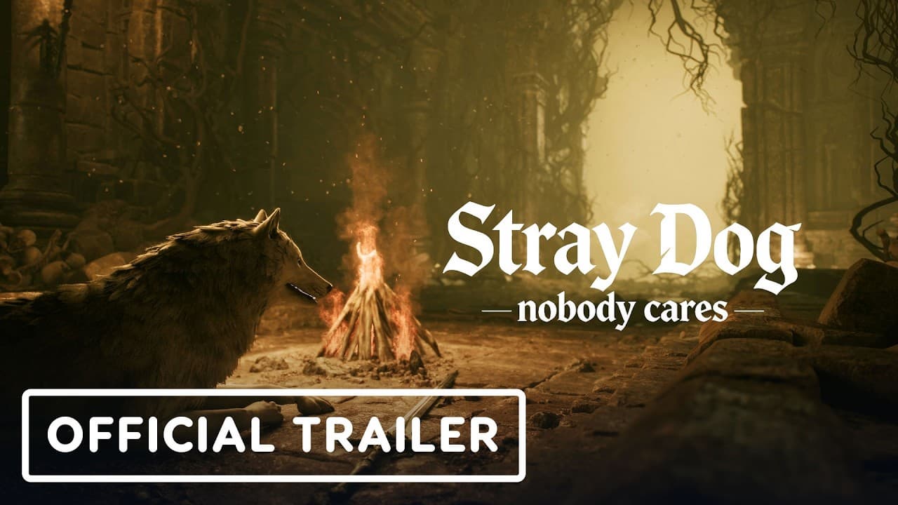 Stray Dog: nobody cares - Official Announcement Trailer