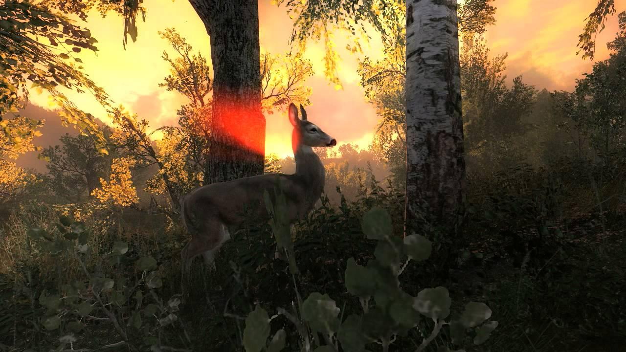 theHunter Classic  |  Official Trailer HD