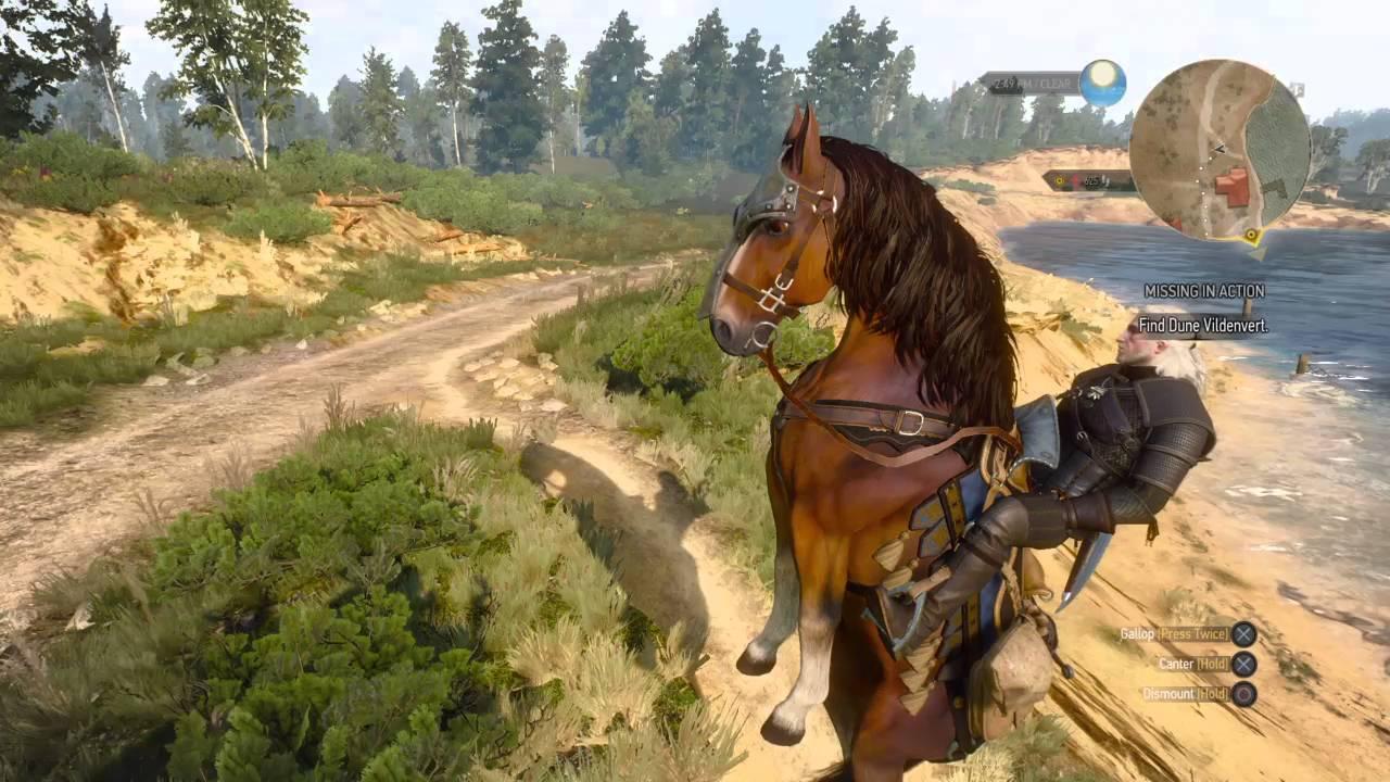 The Witcher 3: Wild Hunt roach bug