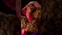 Sideshow Collectibles открыла предзаказ на статую Существа — супергероя из «Фантастической четвёрки»