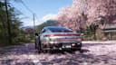 Игрокам запретили таранить сакуру в Forza Horizon 6 из уважения к японцам и их культуре