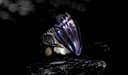 Starforged lanza un anillo con forma de caparazón de tiránido de Warhammer 40,000 - aprobado por la Mente Enjambre