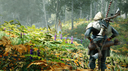 The Elder Scrolls VI "luce increíble" - Todd Howard mostró el juego al gerente de Xbox