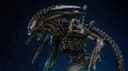 Premium Collectibles Studio abrirá la pre-venta de la estatua de Nethead de la película "Alien vs. Predator"