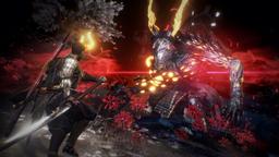 120fps without problems - Another update released for the PC version of Nioh 2